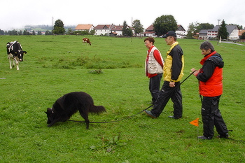 dsc00405.jpg