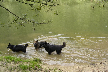 hundelerferien_028.jpg